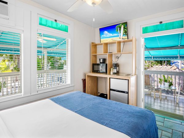 A bright room with a bed, ceiling fan, small kitchenette, TV, and a view of a patio with greenery through the windows and door.