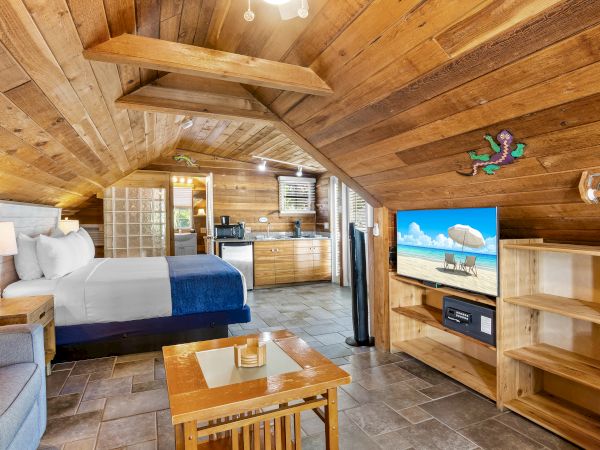 Cozy attic room with wood paneling, a bed, sofa, TV, bookshelf, and a small kitchenette, all under a sloped ceiling with warm lighting.