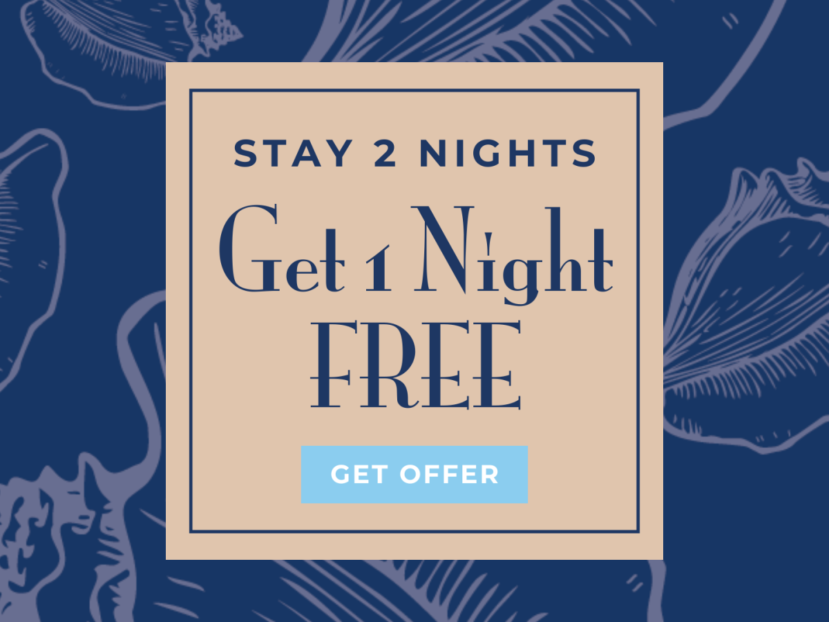 A promotional image offering a "Stay 2 Nights, Get 1 Night Free" deal with a button that says "Get Offer" and a background of illustrated shells.